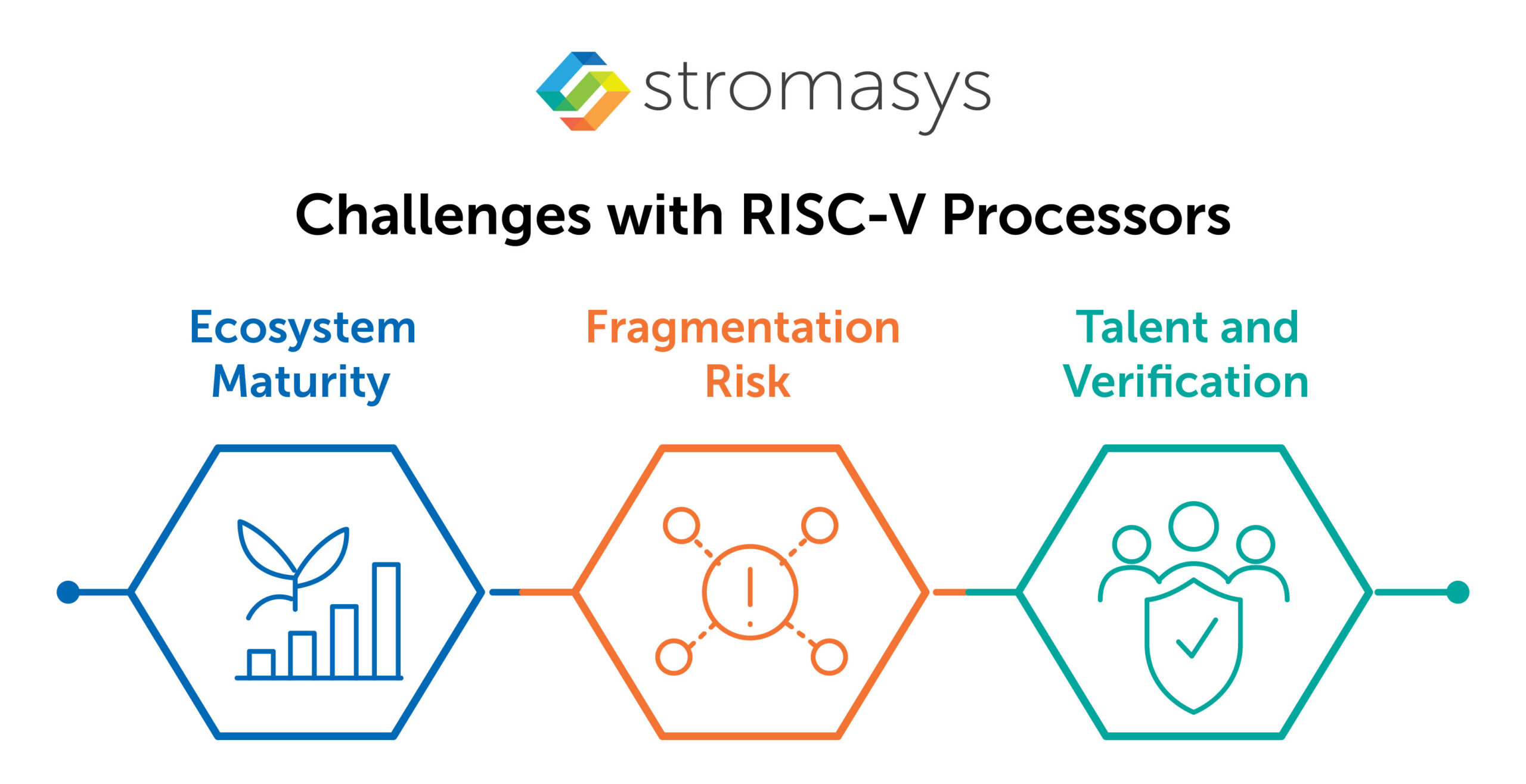 Challenges with RISC-V Processors